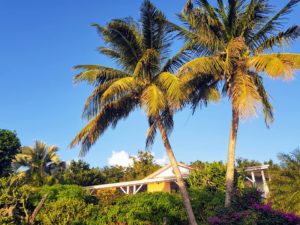 @VillaFalvert, vue sur le jardin