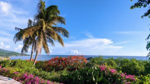 Villa FALVERT vue mer