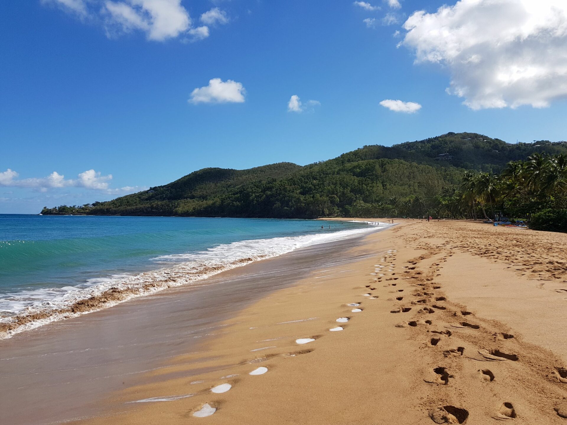 Plage de la Grande Anse à Deshaies