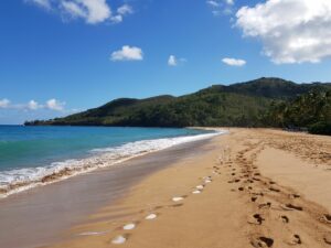 Kaz a FALVERT Plage de la Grande Anse Deshaies
